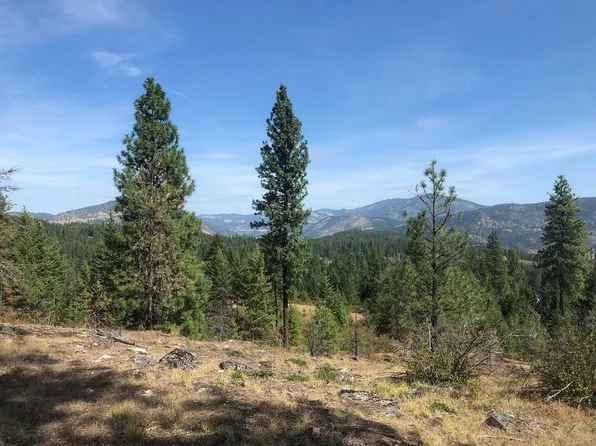 Buscher Way, Colville, WA 99114