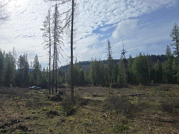 4th image of LOT 3 Eleven Larkspur Way
