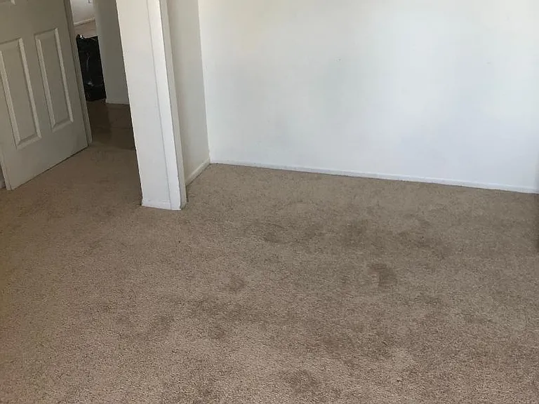503 S Bellview — Photo 5