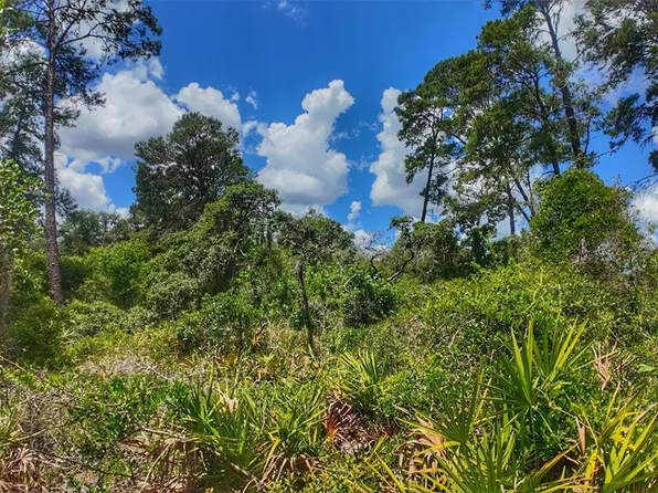 LOT 370, New Pt Richey, FL 34654