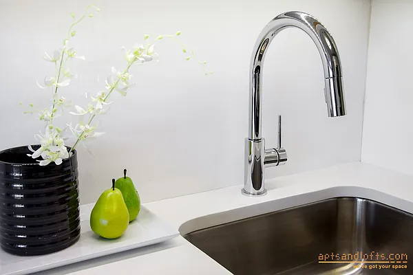 Rented by aptsandlofts.com | media 42