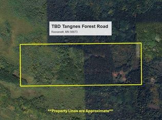 Tangnes Forest Rd, Roosevelt, MN 56673