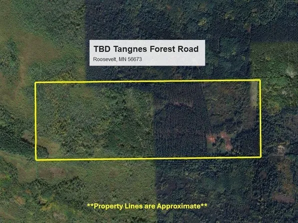 Tangnes Forest Rd, Roosevelt, MN 56673