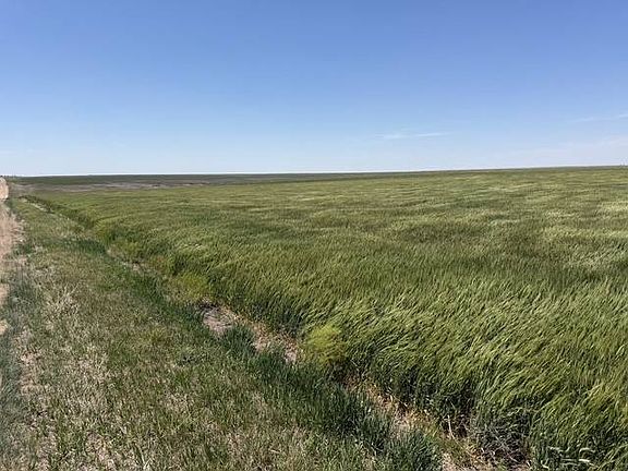 2nd image of 0 E Road 250