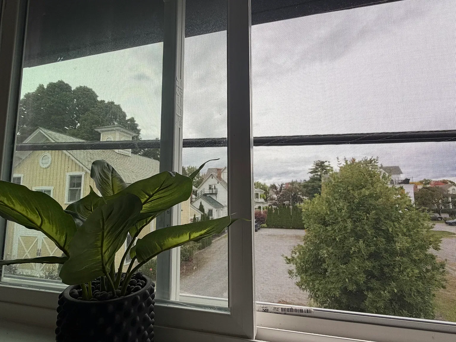 2 bed, 900 sqft, $1,800 — Photo 4