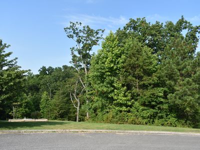 0 Roundtree Ct #258, Flintstone, GA, 30725