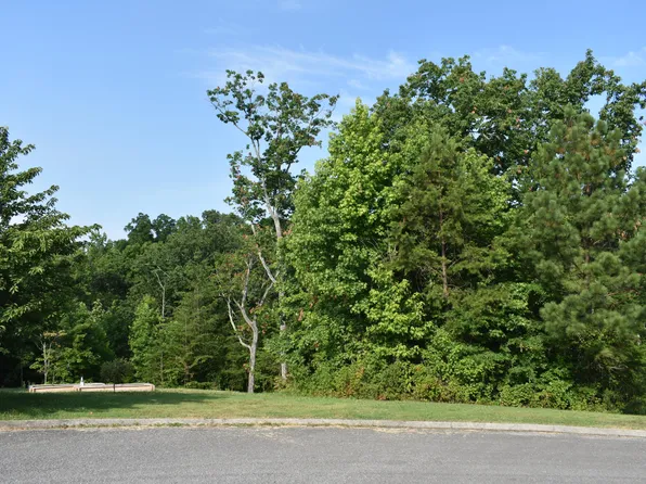 0 Roundtree Ct #258, Flintstone, GA 30725