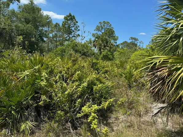 1003 W 13th Street Street, Lehigh Acres, FL 33972