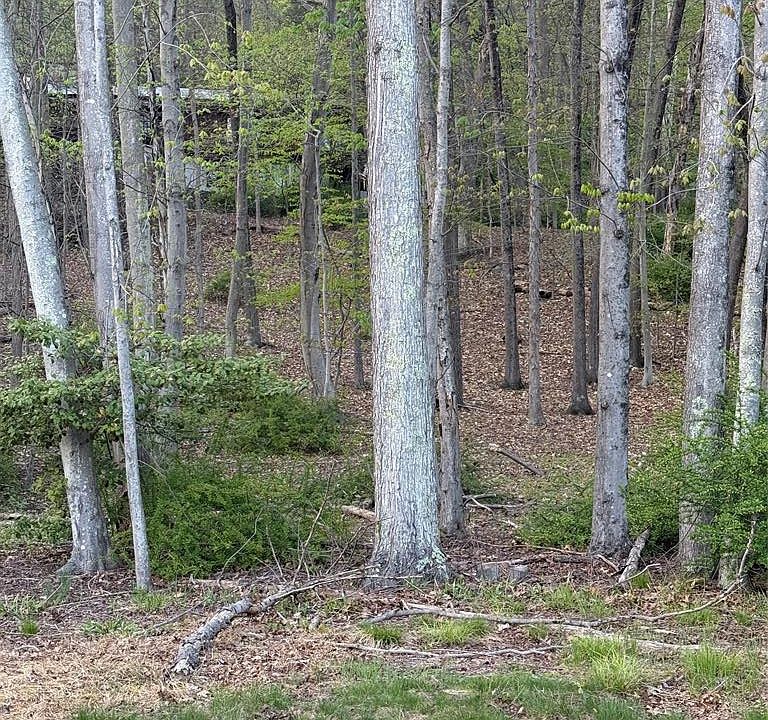 1st image of 78 Deerhaven Rd