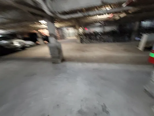 Rented by Garden Management | media 77