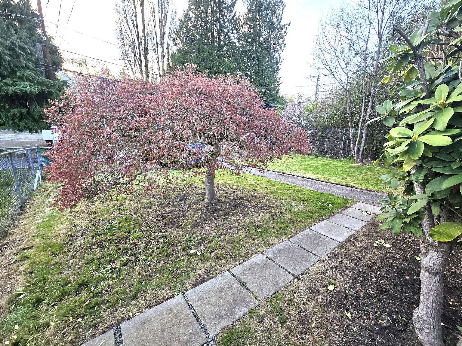 2 bed, 770 sqft, $2,450 — Photo 3