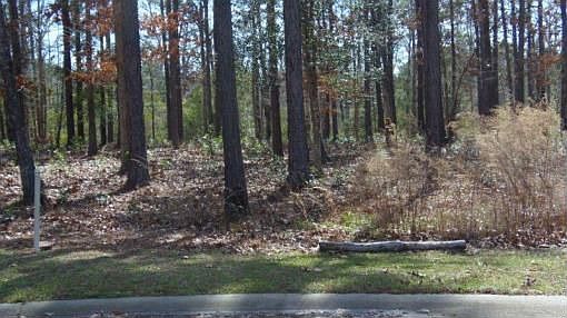 1st image of 659 Grovewood Ln SE