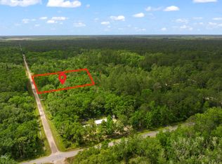 10645 Vaughan Ave, Hastings, FL 32145
