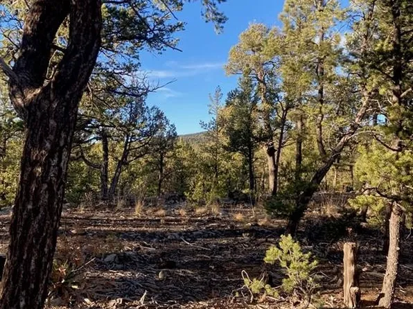 N/a Los Nidos Ln, Pecos, NM 87552
