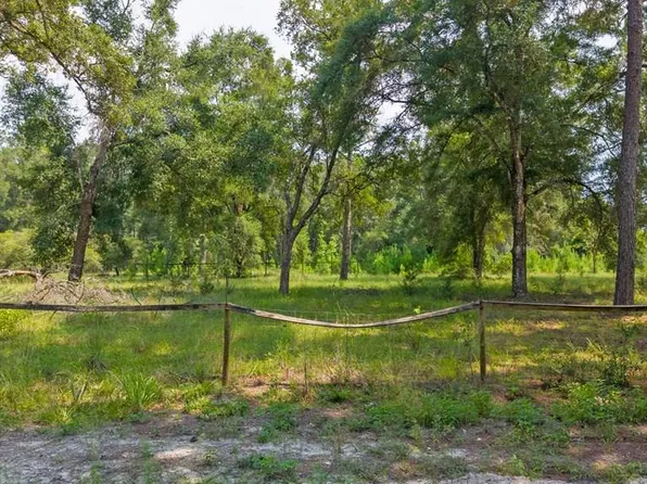 0000 NE 676th Ln, Old Town, FL 32680