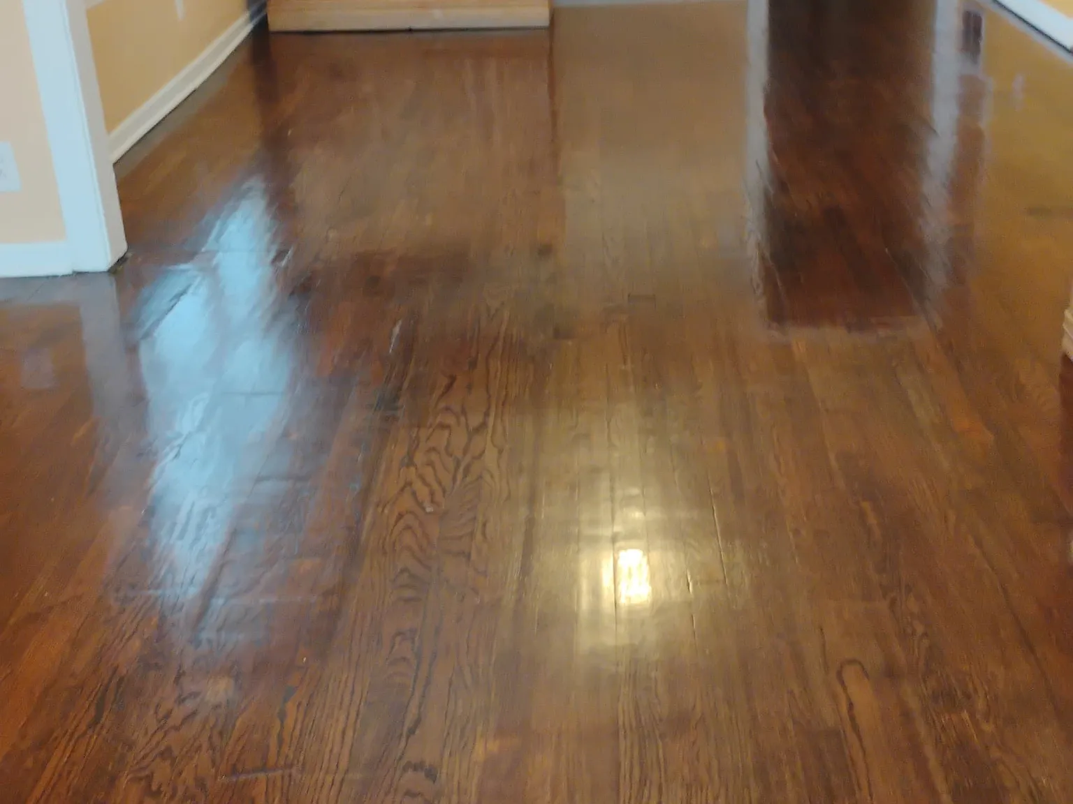 2 bed, 1.0 bath, $1,600 — Photo 2