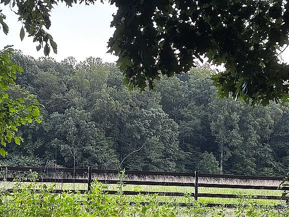 Back of lot facing pasture