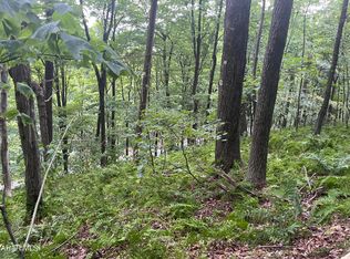 LOT 184 Smokey Run Rd, Claysburg, PA 16625