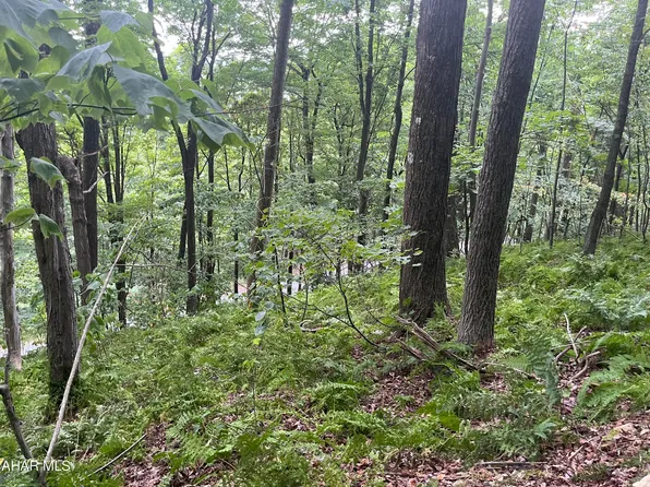 LOT 184 Smokey Run Rd, Claysburg, PA 16625