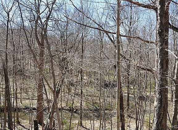 View of stream from screened