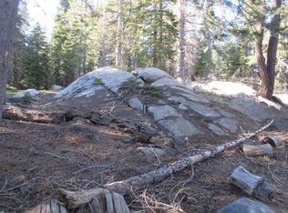 175 Silver Tip Dr, Arnold, CA 95223
