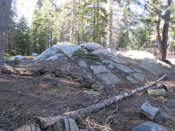 175 Silver Tip Dr, Arnold, CA 95223