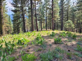 221 Cayden Dr, Clio, CA 96106