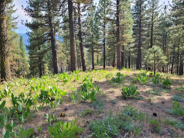 221 Cayden Dr, Clio, CA 96106