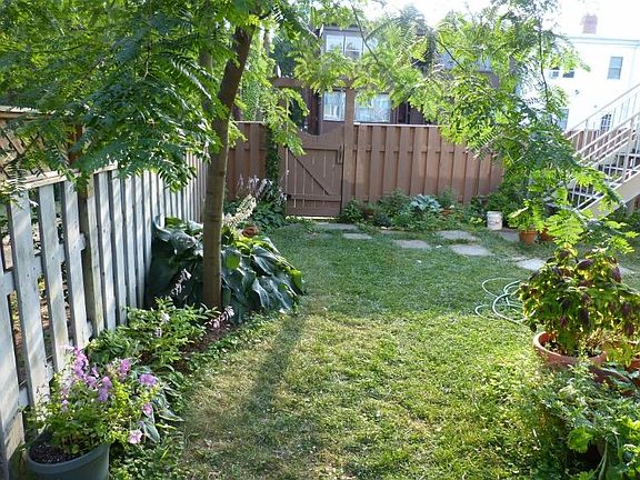 Shared back yard.