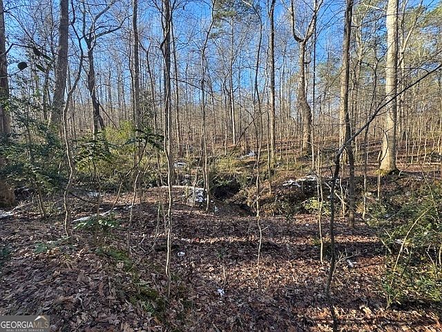 2nd image of 2581 Union Church Rd SW