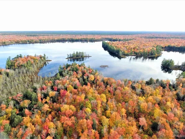 Nevins Lake Dr, Shingleton, MI 49884