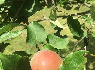 1069 Sand Hill Rd, Wolcott, VT 05680