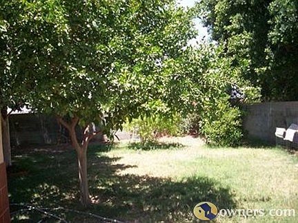 Fruit trees; orange, lemon & grapefruit