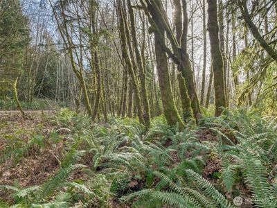 0 W Belfair Valley Road, Bremerton, WA, 98312
