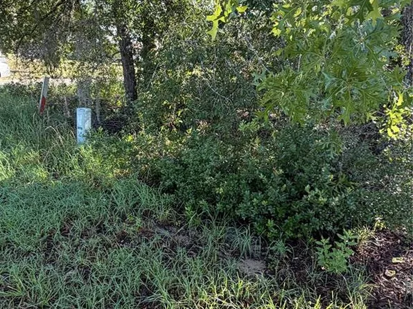 ALASKA AVENUE LOT 29, INTERLACHEN, FL 32148