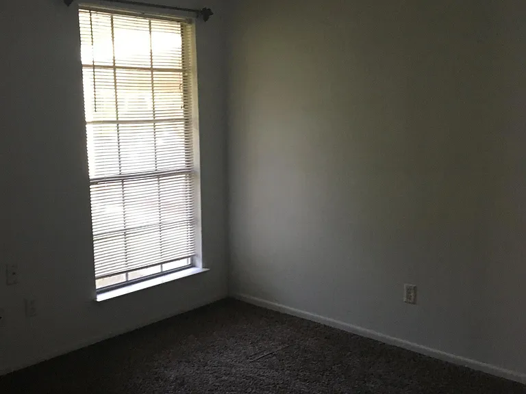 Third bedroom, new carpet, new ceiling fan