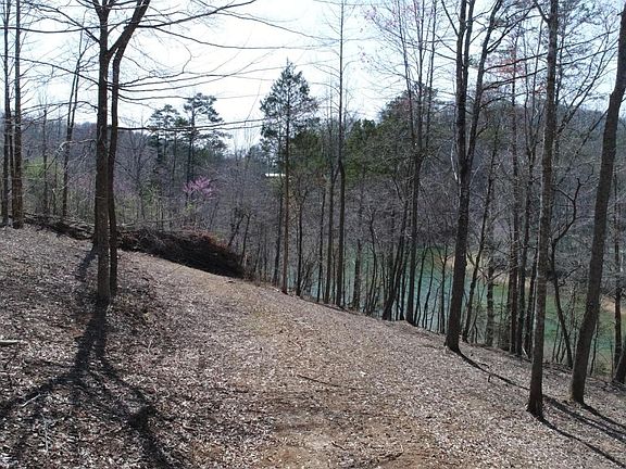 4th image of Lot 3 & 4 Harbor Ln Lot 3&4