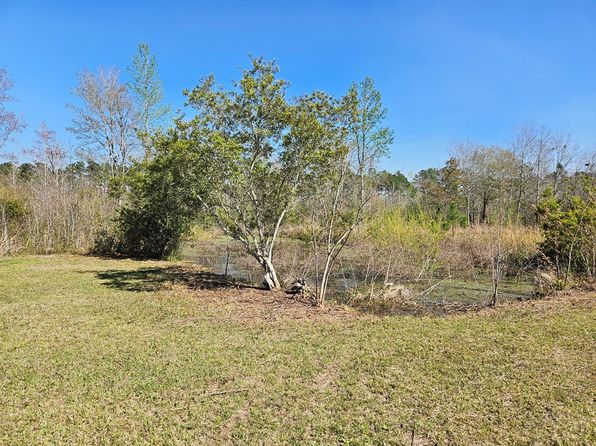 334 Old Bay City Rd, Wewahitchka, FL 32465