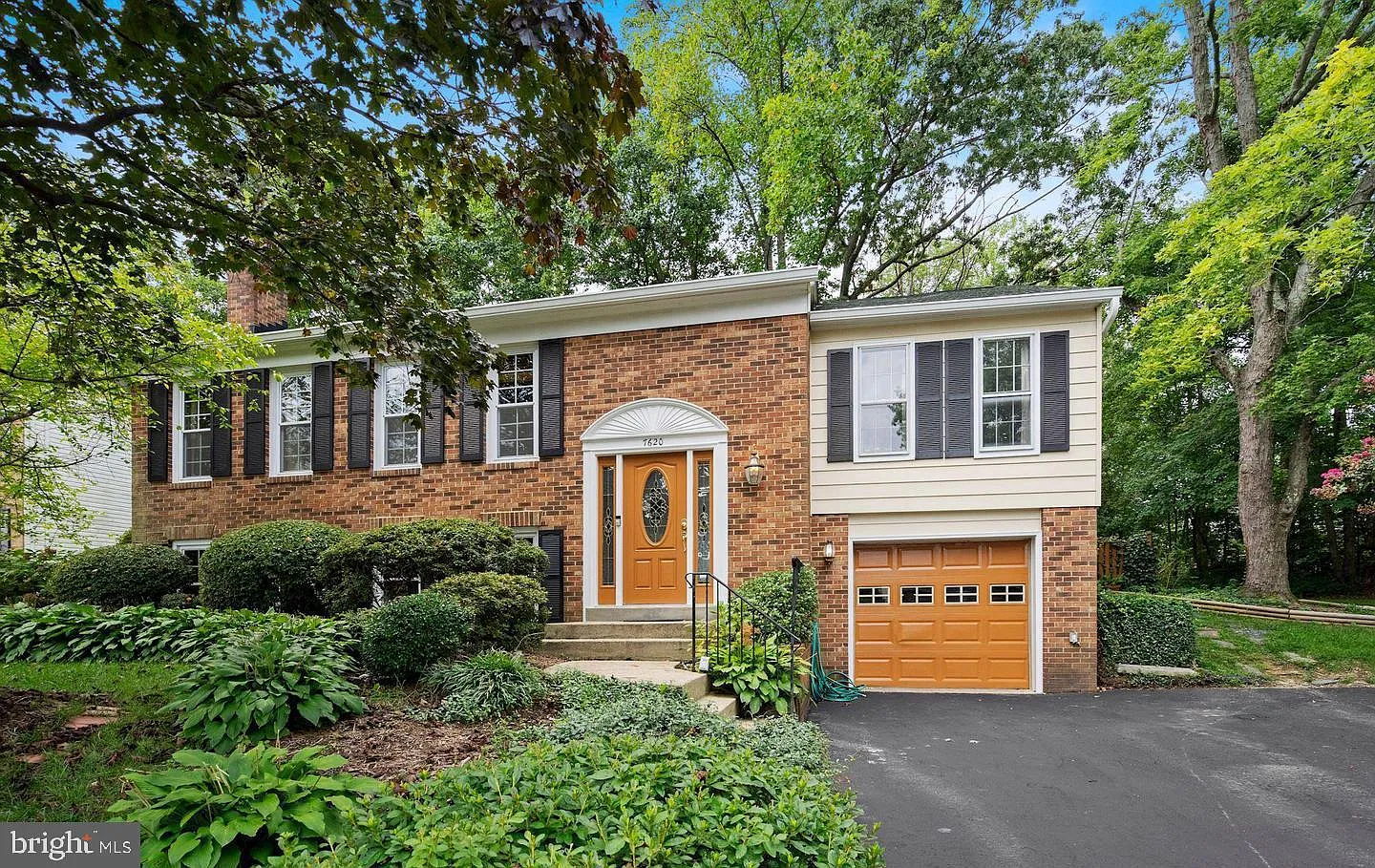 4 bed, 1356 sqft, $3,800 — Photo 1