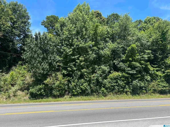 0 Highway 431 #1, Roanoke, AL 36274