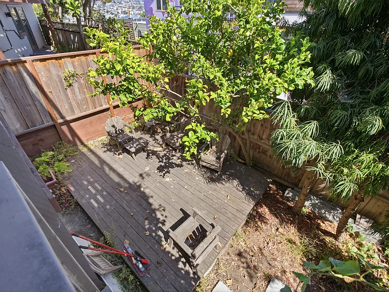 Shared Backyard