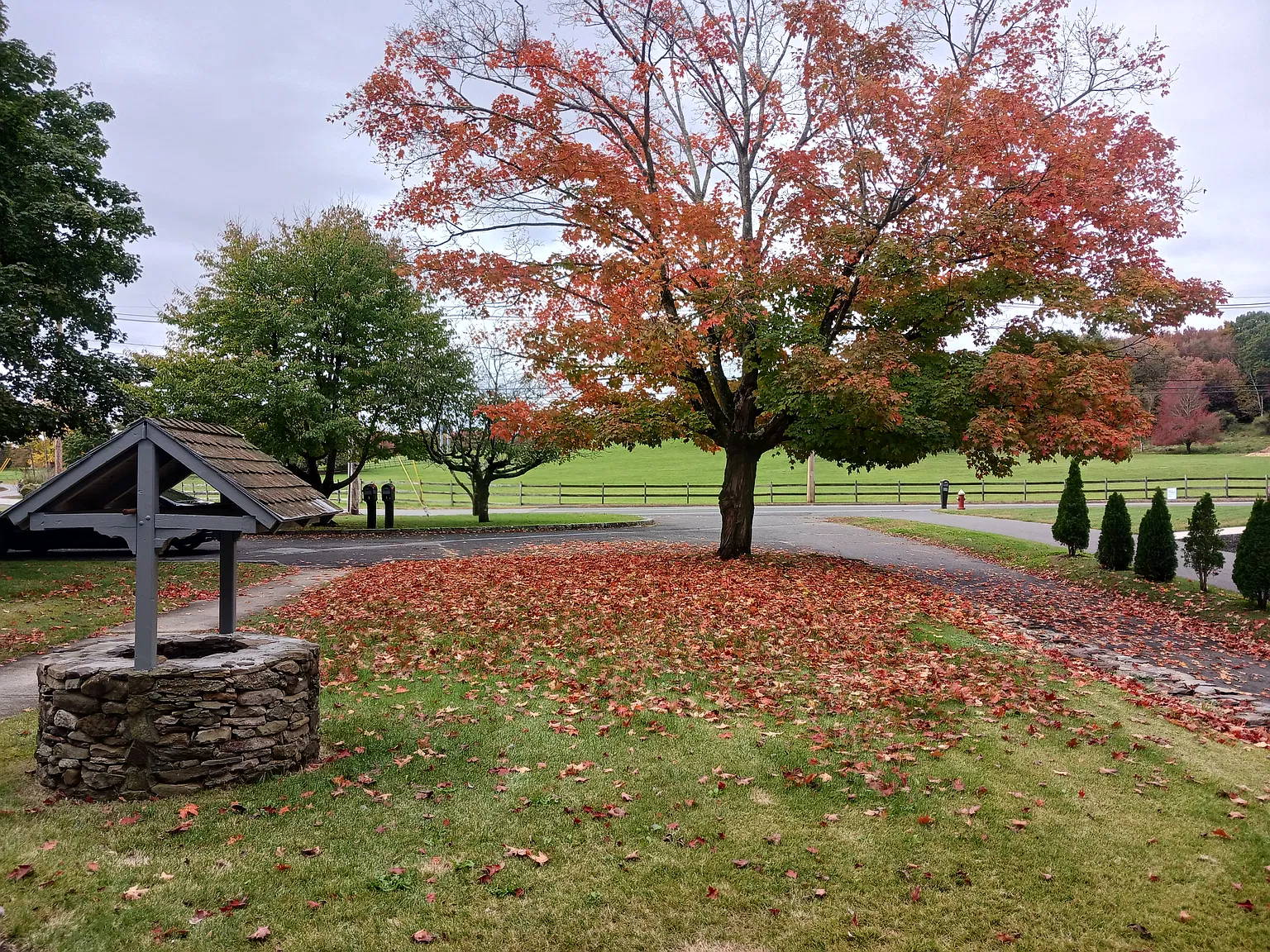 2 bed, 1100 sqft, $1,800 — Photo 4