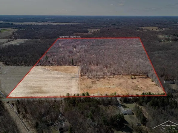 Grabowski Rd, Saint Charles, MI 48655