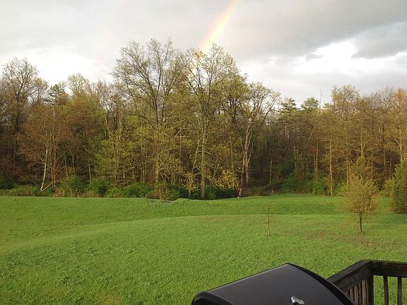 View from Deck