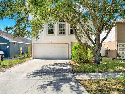 11432 Ivy Flower Loop, Riverview, FL, 33578