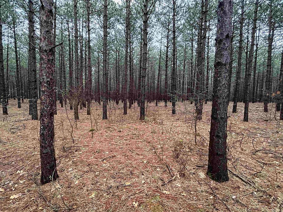 1st image of L78 23rd Ave