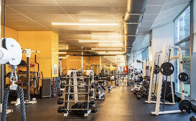 Rented by Platinum Properties | media 56