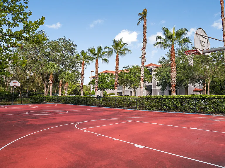 Basketball Court