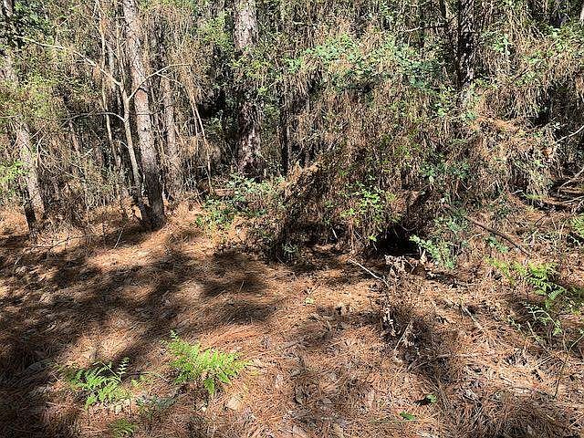 2nd image of 297 Neches Dr