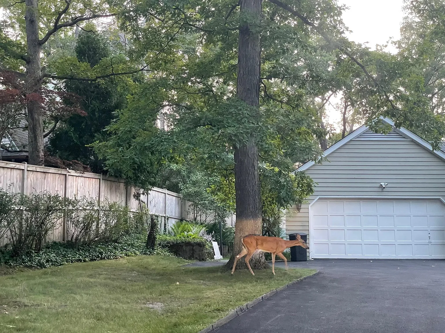 1500 N Western Ave — Photo 4